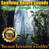 Mighty Jungle Sounds artwork