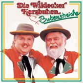 Der Alpenmüsli artwork