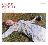 Chuck Prophet - You Did (Bomp Shooby Dooby Bomp)