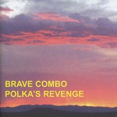 Brave Combo - Holiday In Poland