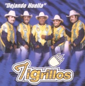 Dejando Huella, 1997