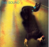 The Sound - Shot Up and Shut Down
