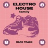Electro House Family, Vol. 8, 2010