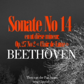 Moonlight, Piano Sonata No.14 In C Sharp Minor, Op.27 : No.2, I. Adagio sostenuto - Theo van der Pas