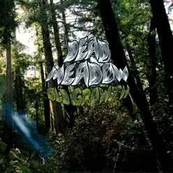 Old Growth - Dead Meadow Old Growth - Dead Meadow