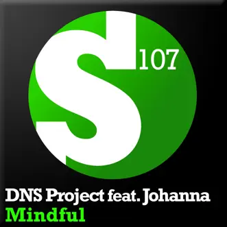 Mindful (DNS Project Whiteglow Vocal Mix) by DNS Project song reviws