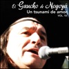 Un Tsunami de Amor