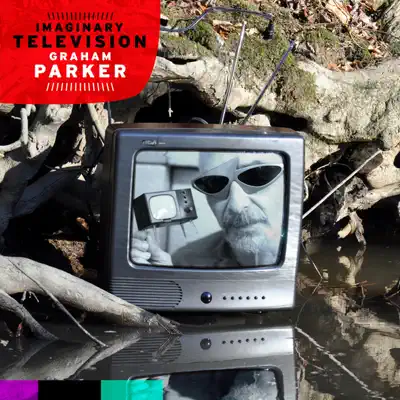 Imaginary Television - Graham Parker