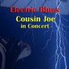 Electric Blues - Cousin Joe In Concert