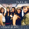 A Touch of Silk - The Remix Album