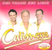 Der Traum Der Liebe (Das Neue - Hit Album 2009)