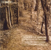 Schnittke - Part: Voices of Nature