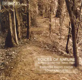 Schnittke - Part: Voices of Nature by Swedish Radio Choir, Tõnu Kaljuste & Jonny Ronnlund album reviews, ratings, credits