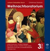 Weihnachtsoratorium, BWV 248: Aria Alto - Schlafe, Mein Liebster, Geniesse Der Ruh artwork