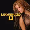 Debe Ser Sandunguero song lyrics