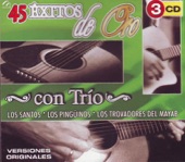 45 Éxitos de Oro Con Trío, 2004