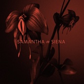 Samantha De Siena - You Laugh at the Moon