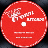 Holiday In Hawaii artwork