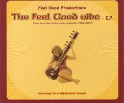 The Feel Good Vibe (Radio Edit) Song Lyrics