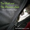 Ted Hall and the Pleasure Cats - Mr. Bluesman (Live)