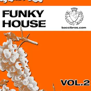 télécharger l'album Various - Funky House Vol 1