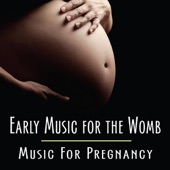 Early Music for the Womb (Music For Pregnancy) artwork