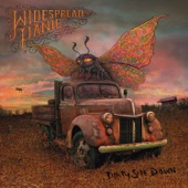 Widespread Panic - Saint Ex