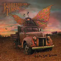 Dirty Side Down - Widespread Panic