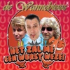 Het Zal Me Een Worst Weze - Single