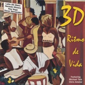 Ritmo de Vida artwork