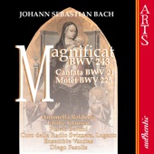 Cantata BWV21: Ich Hatte Viel Bekümmernis: Ich Hatte Viel Bekümmernis (Bach) artwork