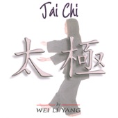 Tai Chi artwork