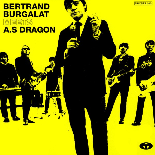 Bertrand Burgalat Meets A.S Dragon - Bertrand Burgalat