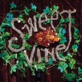 Sweet Vine - Mountainside (Album Version)