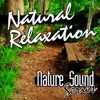 Nature Sound Series - Soothing Sounds of Nature