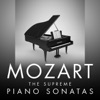 Carmen Piazzini - Sonata for Piano No. 11 in A Major, K. 331: I. Andante Grazioso