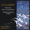 Schubert - Works For Flute And Pianoforte/Wanderer Fantasy D 760