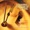 Taliesin Orchestra - Watermark