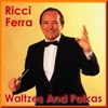 Johann Strauss Viennese Waltzes and Polkas - Wiener Walzer Und Polkas