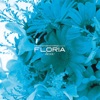 Common Ground Recordings Presents Floria-Duex-, 2010