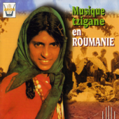 Musique tzigane en Roumanie - Ion Nicodim & Gheorghe Radulesco