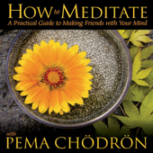 How to Meditate with Pema Chodron - Pema Chödrön