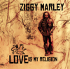 Beach In Hawaii - Ziggy Marley