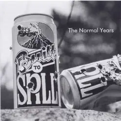 The Normal Years - Built To Spill