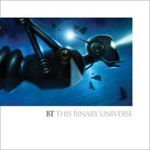 This Binary Universe artwork