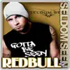 Redbull & Vodka album lyrics, reviews, download