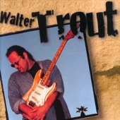 Walter Trout artwork