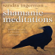 Sandra Ingerman - Shamanic Meditations: Guided Journeys for Insight, Visions, And Healing (Unabridged)