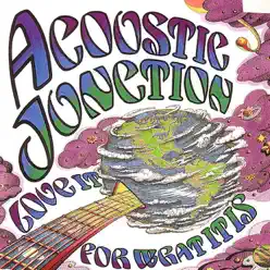 Love It for What It Is - Acoustic Junction