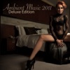 Ambient Music 2011 - Deluxe Edition